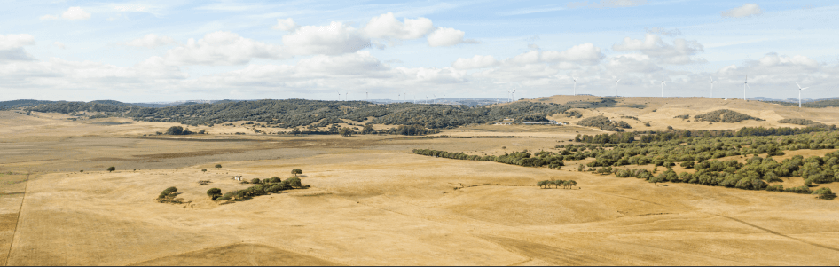 Nakibolis Heirs Limited - Premier property development and investment services across Masaba and Western Kenya regions