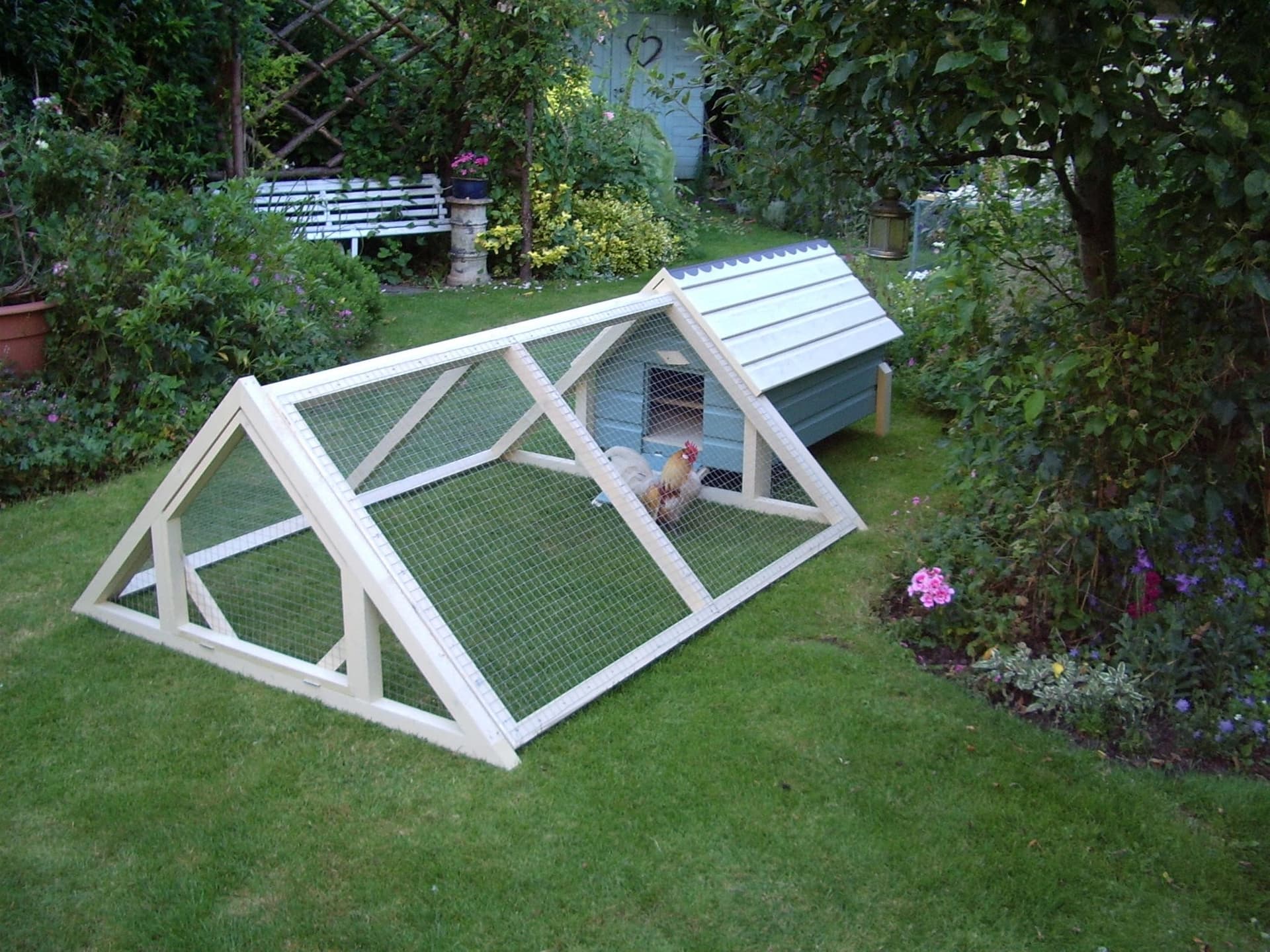 How to Build a Backyard Chicken Coop That's Predator-Proof (& Stylish!)