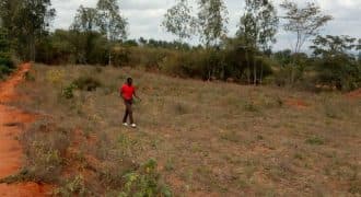 Taita Taveta County landscape and property opportunities