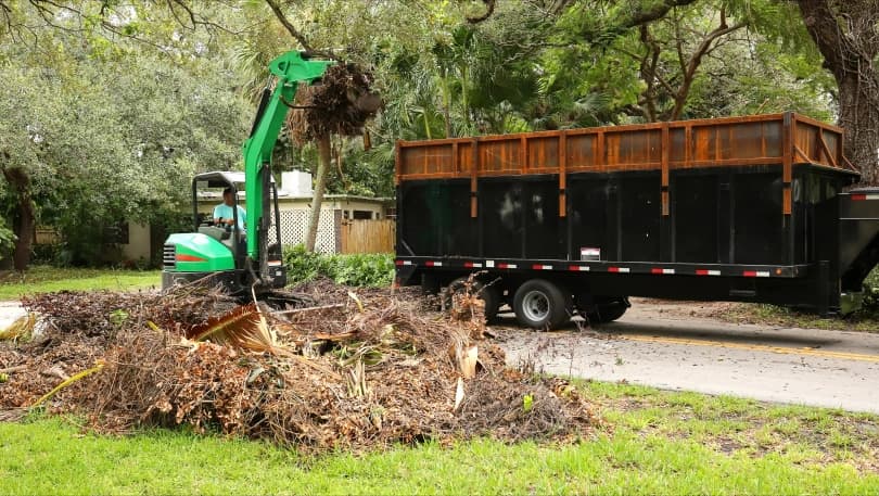 Major yard redesign with roll-off dumpster