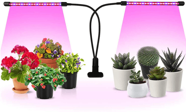 Plant lights for garden